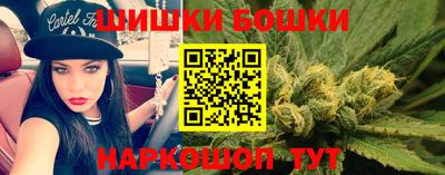 индика Комсомольск-на-Амуре