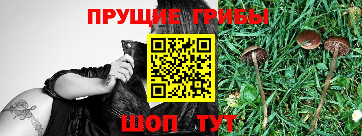 Галлюциногенные грибы MAGIC MUSHROOMS Ефремов
