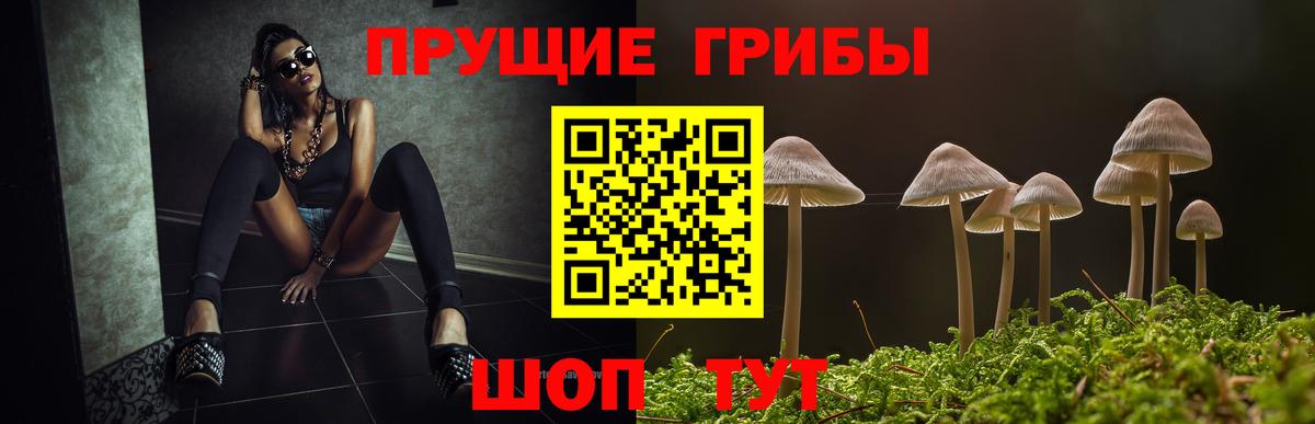 Псилоцибиновые грибы мицелий  Вход с VPN  Галлюциногенные грибы прущие грибы  Ефремов 